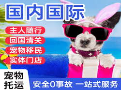 乌审旗嘎鲁图航空空运国际宠物托运 【国